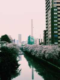 東京｜地鐵南北線｜靜謐與現代的綠色都市之旅