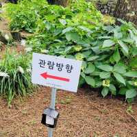 A Visit to Jeju Yujinfang Tropical Fruit Farm