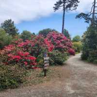 Mendocino Coast Botanical Gardens – Fort Bragg, CA