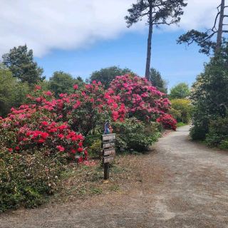 Mendocino Coast Botanical Gardens – Fort Bragg, CA