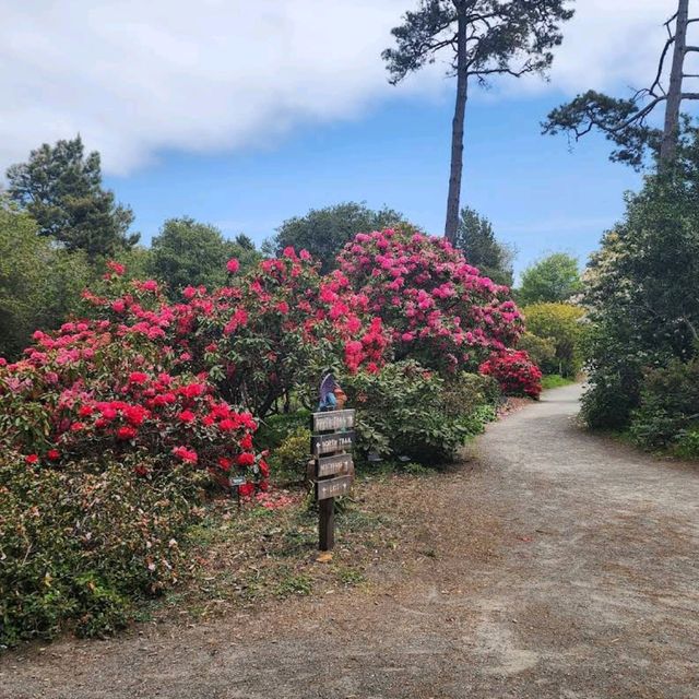 Mendocino Coast Botanical Gardens – Fort Bragg, CA
