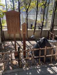 【東京都神楽坂🇯🇵赤城神社】有名な建築家がデザイン☺️おしゃれな雰囲気のパワースポット