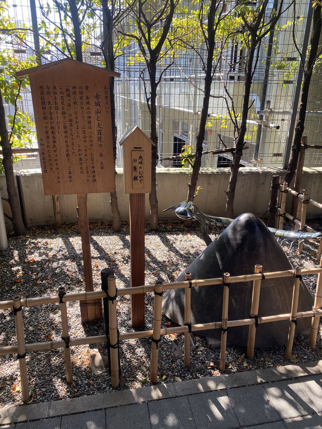 【東京都神楽坂🇯🇵赤城神社】有名な建築家がデザイン☺️おしゃれな雰囲気のパワースポット