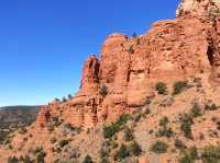 Discover the Magic of Sedona, Arizona 