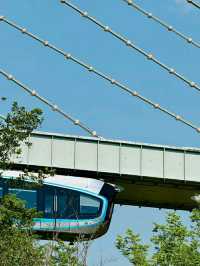 Wuhan: Where Ancient Culture Meets Modern Vitality