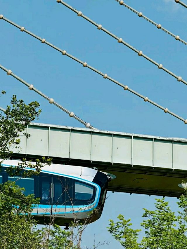 Wuhan: Where Ancient Culture Meets Modern Vitality