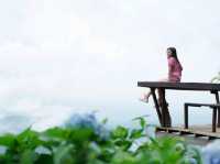 คาเฟ่บนดอยที่ดอกไม้สวยมาก