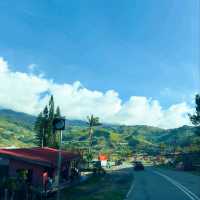 Mountain Air & Chill Feels: Spring Road Trip