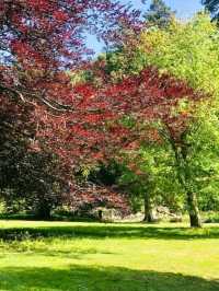 Victorian Elegance and Woodland Wonders at Tyntesfield – A National Trust Treasure