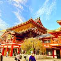 感受名古屋市「血紅」魅力