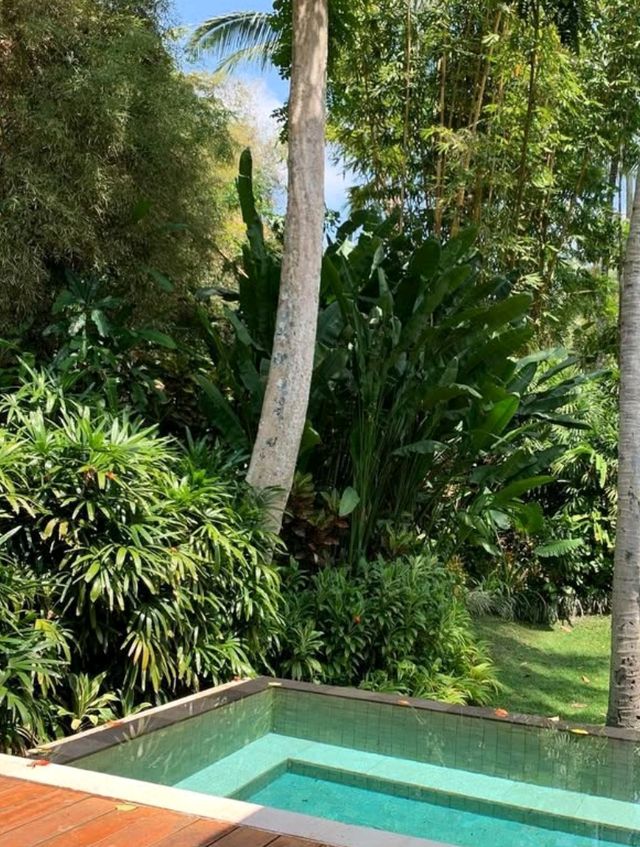 🌞 Pure Joy in the Jungle – Fun & Bliss at Four Seasons Ubud