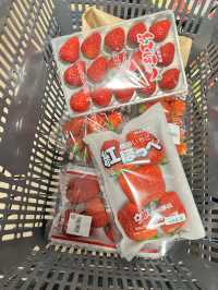 กินสตอเบอรี่ที่ฮอกไกโดกัน