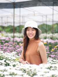 ตามหาทุ่งดอกไม้กลางหุบเขา 🌼