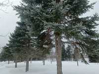 Moerenuma Park – Where Art Meets Nature in Sapporo