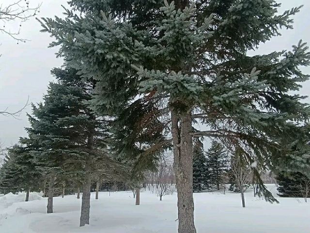 Moerenuma Park – Where Art Meets Nature in Sapporo