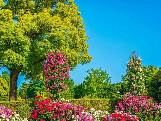 Yamashita Park – Yokohama’s Waterfront Gem