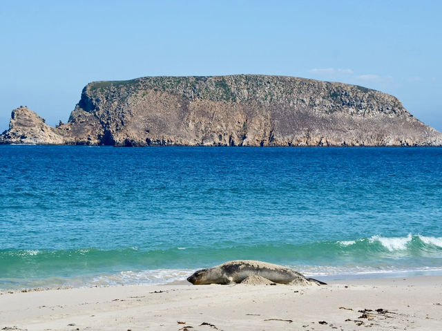 Channel Islands National Park