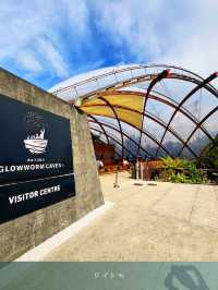 【NZ】オークランドから映画と自然の魔法に浸る1日旅