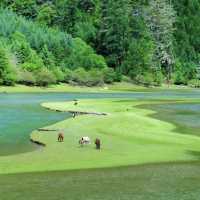 📝端午出遊｜闖入川西秘境月亮湖 + 甲根壩🏞️