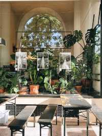 Artichoke Social House