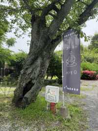 【大分グルメ】別府湾と別府の街並みが一望できる丘の上のカフェ