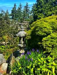 Queen Elizabeth Park – Vancouver’s Elevated Garden Sanctuary