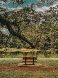 Serene Reflections and Old-World Charm at Taiping Lake