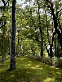 A Day of Quiet Beauty in Fukui