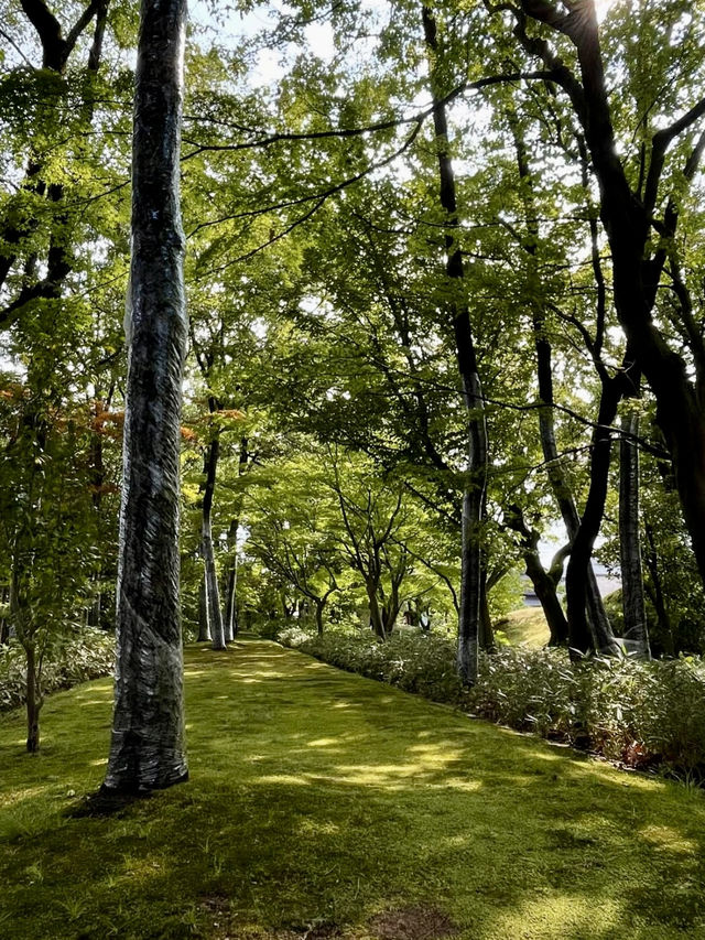 A Day of Quiet Beauty in Fukui