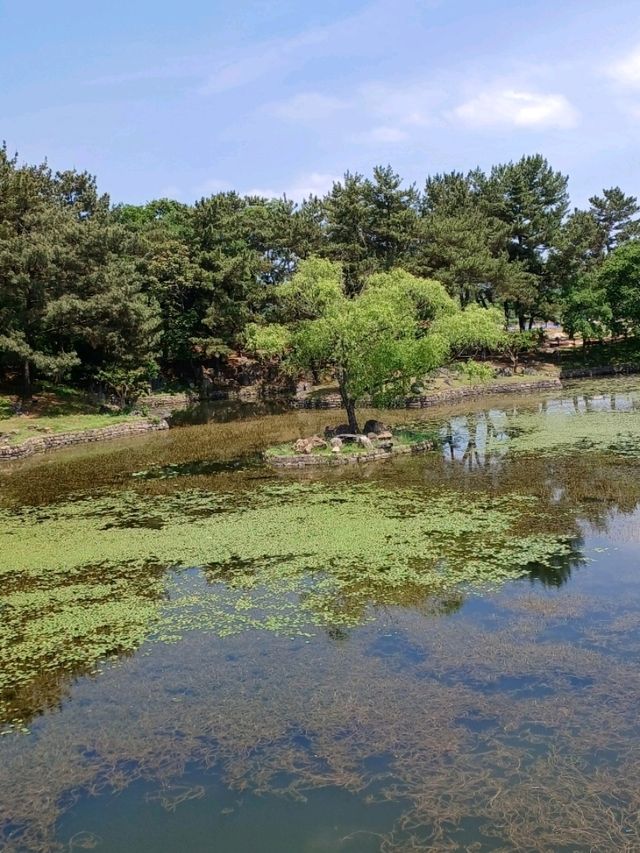 벚꽃 아래 역사와 걷는 길, 동궁과 월지