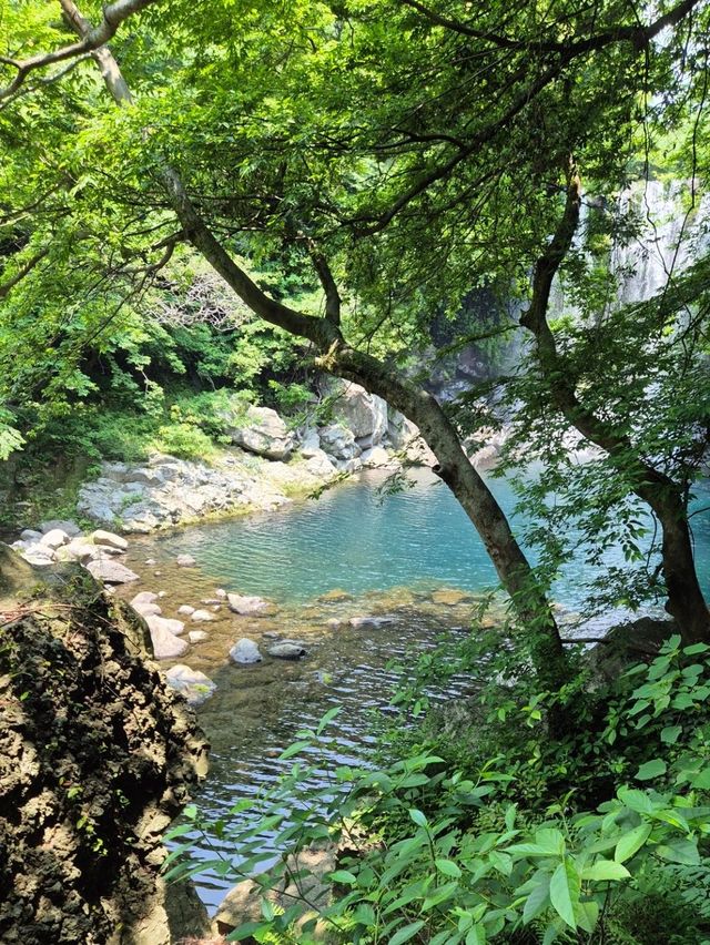 A 7-day itinerary for a first time in Jeju Island 🌞