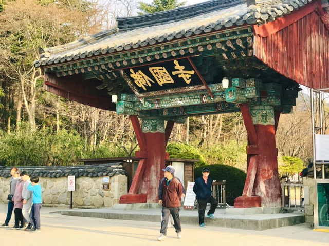 경주 감성 당일치기✨ 감포항부터 안압지 야경까지 알찬 코스