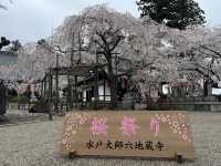 🌸【枝垂櫻與靜心古寺的邂逅】春日私藏景點：水戶大師六地藏寺一日小旅行