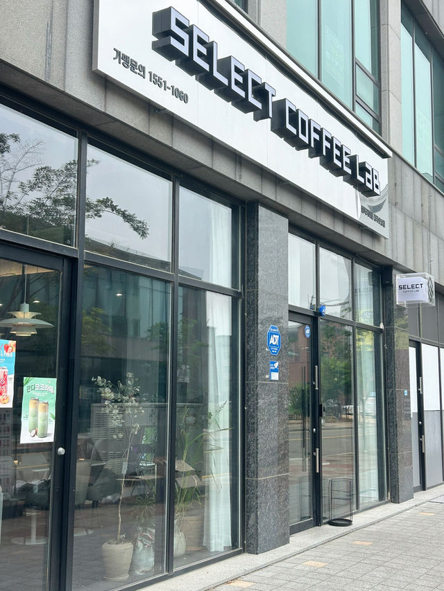 ☕ 새벽까지 감성 가득, 셀렉커피랩 청주오송점 