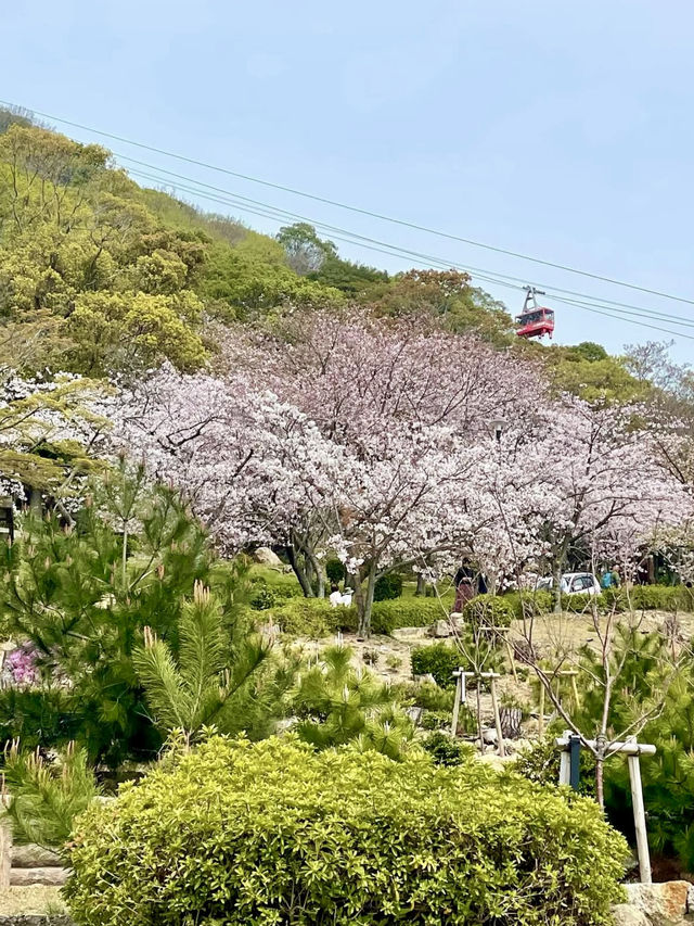A Day in Nature in Suma, Kobe 🌊🌲