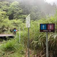 🚶‍♂️阿里山眠月線健行｜沼平車站 ⇄ 石猴車站
