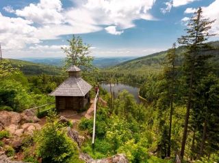 Bavarian Forest National Park – Germany’s First Wilderness Sanctuary