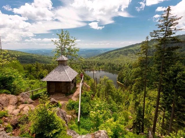 Bavarian Forest National Park – Germany’s First Wilderness Sanctuary
