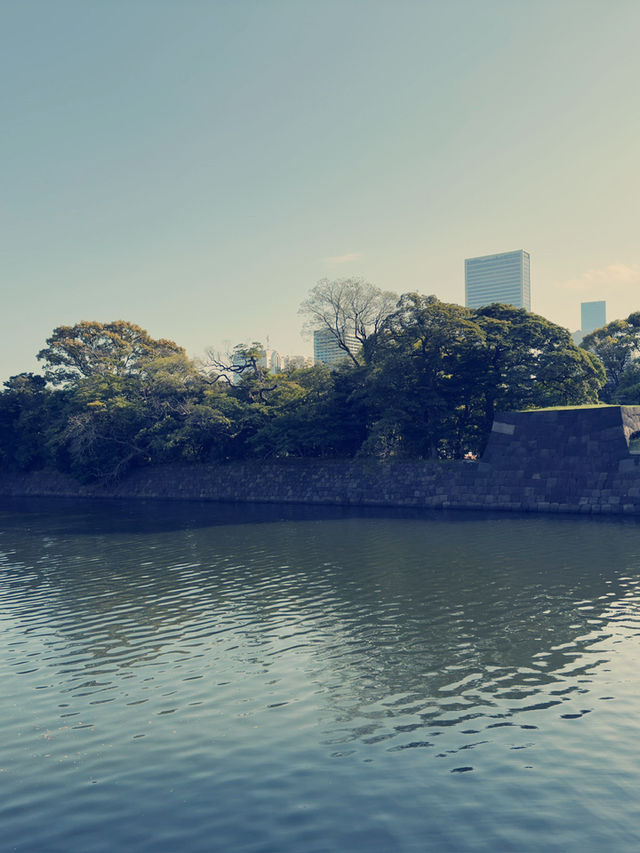 東京汐留購物攻略｜現代商圈與特色伴手禮精選