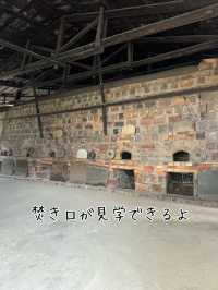 常滑市のとこにゃんに会いに行こう！