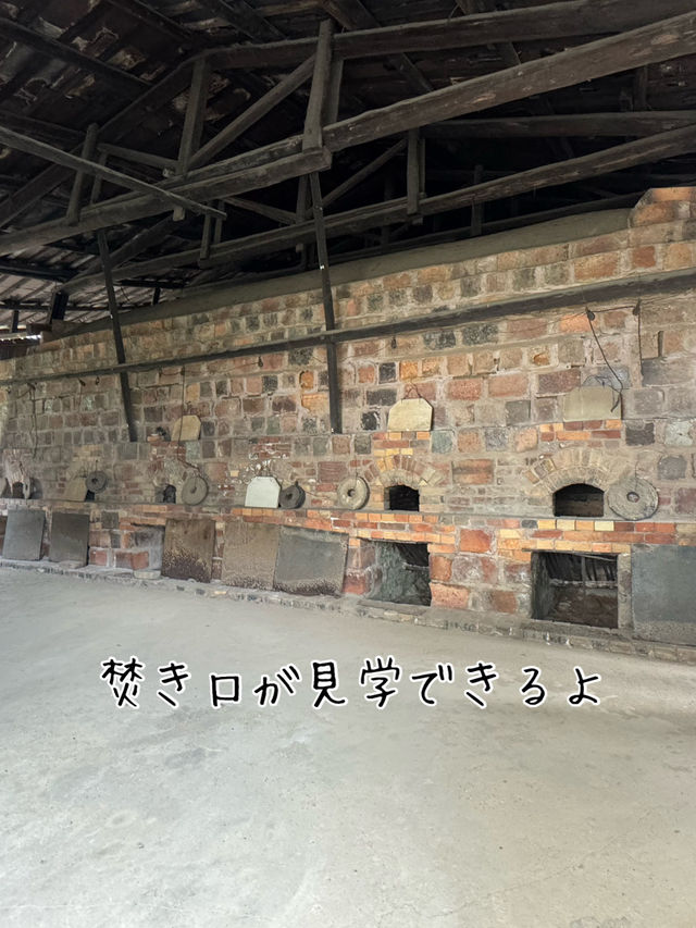 常滑市のとこにゃんに会いに行こう！