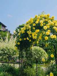 Relax and Recharge at Divine Garden: A Lovely Spot in Okcheon