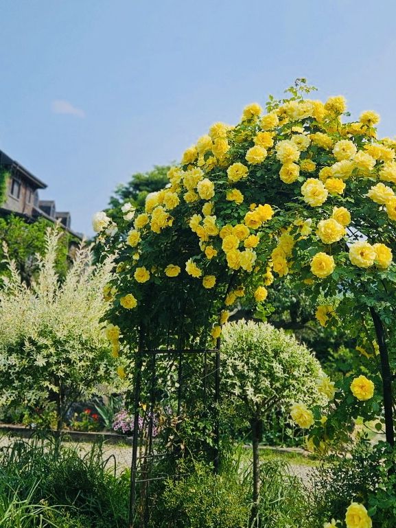 Relax and Recharge at Divine Garden: A Lovely Spot in Okcheon