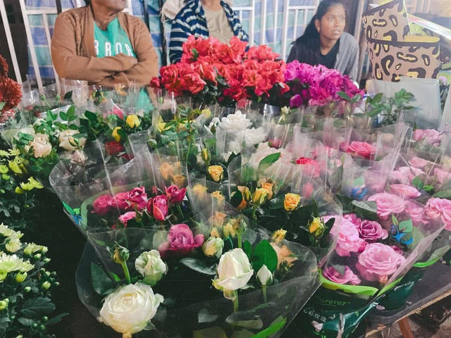 Cameron Highlands 🇲🇾
