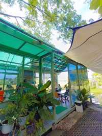 Grindsize Evergreen CNX ☕🌾