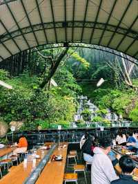 🌿【福島で夏の涼を味わうならここ！】 🏞️「流しそうめん 吾妻庵」@福島市