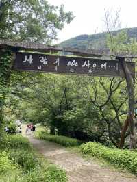 포항 산속에 숨겨진 비밀같은 공간, 선류산장☁️