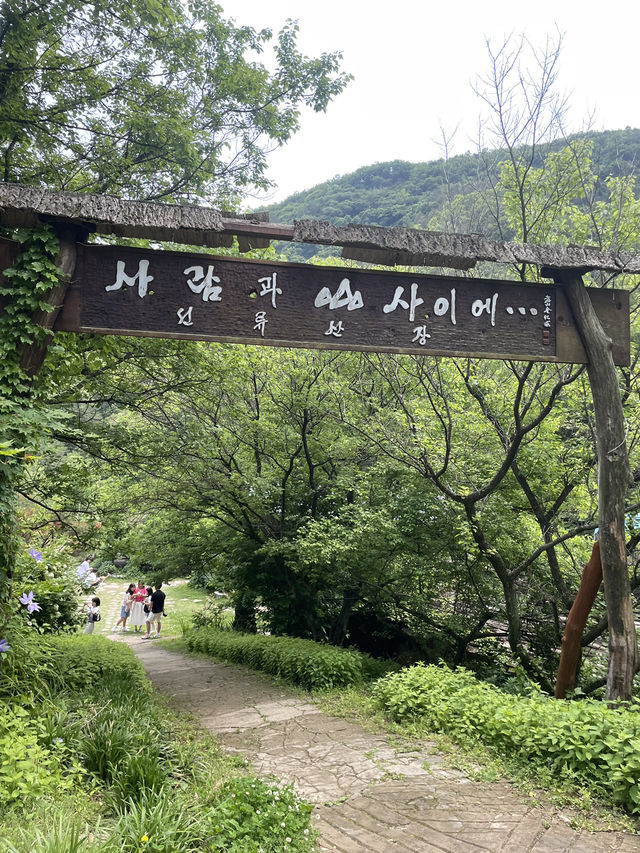 포항 산속에 숨겨진 비밀같은 공간, 선류산장☁️
