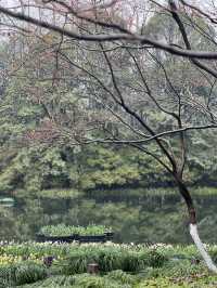 Hangzhou spring