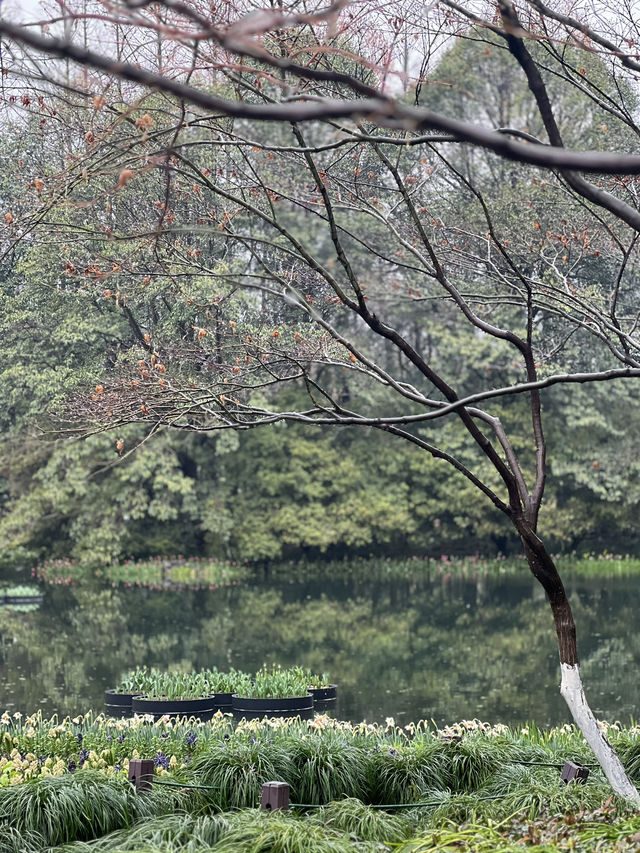 Hangzhou spring